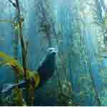 Customer feedback Ballina plumber